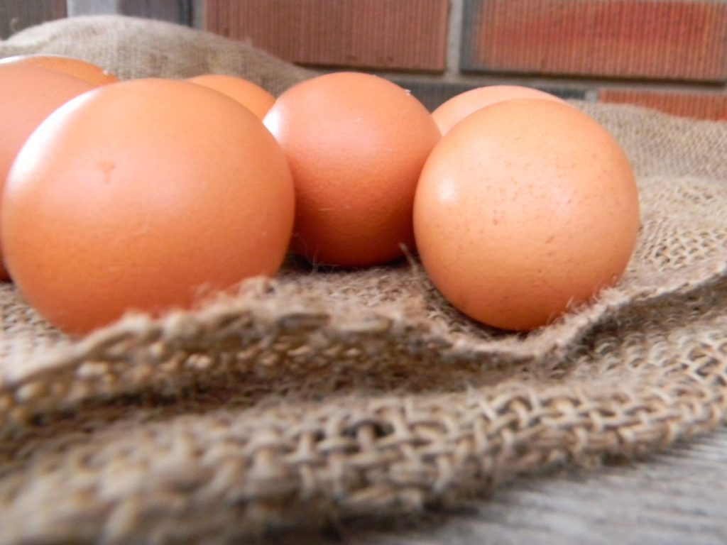 Fresh Brown Eggs