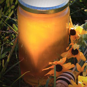 Fresh raw, unpasteurized honey